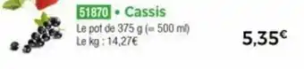 Thiriet Cassis offre