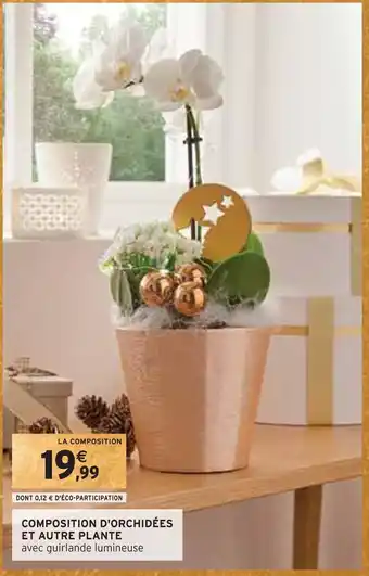 Intermarché Composition d'orchidées et autre plante offre