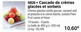 Thiriet Cascade De Crèmes Glacées Et Sorbets offre