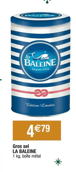La baleine gros sel