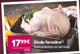 Dinde fermière