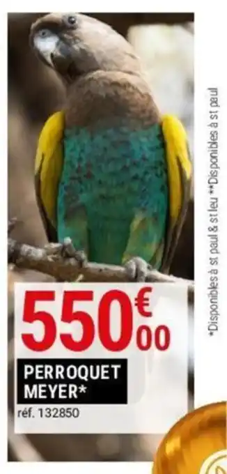 Gamm vert PERROQUET MEYER offre