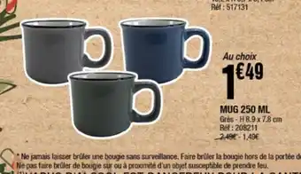 La Foir'Fouille Mug 250ml offre