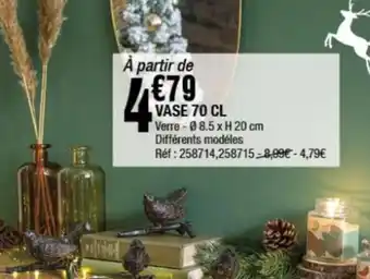 La Foir'Fouille VASE 70 CL offre