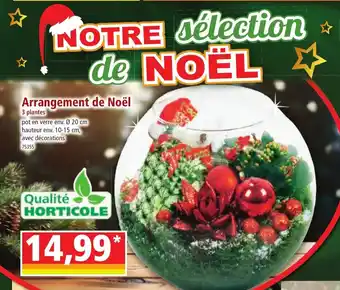 Norma Arrangement de Noël offre