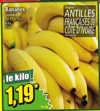 Norma Bananes offre