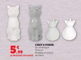 Super U CHAT A POSER offre