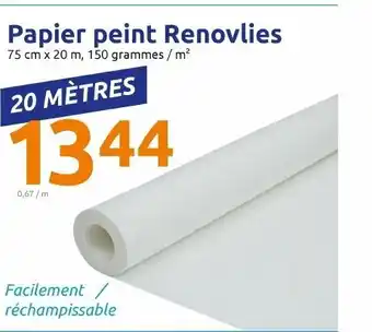 Action Papier peint Renovlies offre