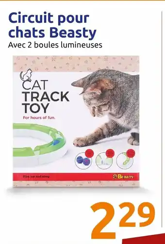 Action Circuit pour chats Beasty offre