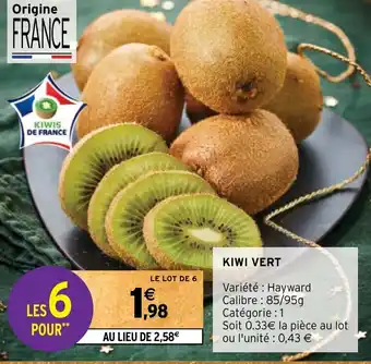 KIWI VERT