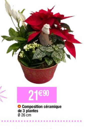 Migros Composition céramique de 3 plantes offre