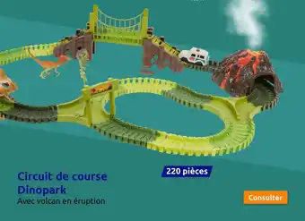 Action Circuit de course Dinopark offre