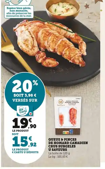 QUEUE & PINCES DE HOMARD CANADIEN CRUS SURGELES
