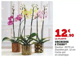 Super U ORCHIDEE 2 TIGES offre