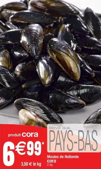 Cora x Carrefour Moules de Hollande cora offre