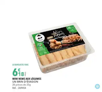 MINI NEMS AUX LÉGUMES UN BRIN D'ÉVASION