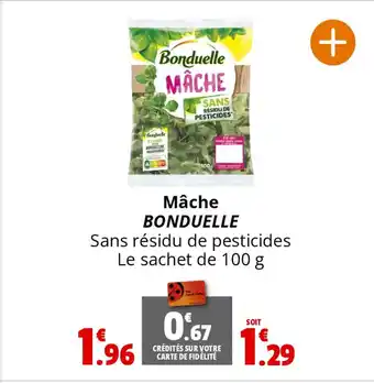 Coccinelle Supermarché Mâche BONDUELLE offre