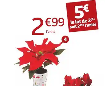 Jardiland Poinsettia offre