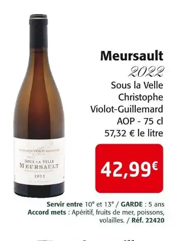 Christophe violot-guillemard meursault