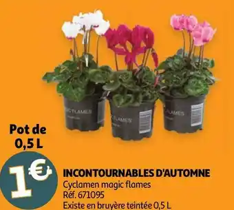 INCONTOURNABLES D'AUTOMNE