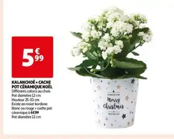 Auchan KALANCHOË+ CACHE POT CÉRAMIQUE NOËL offre