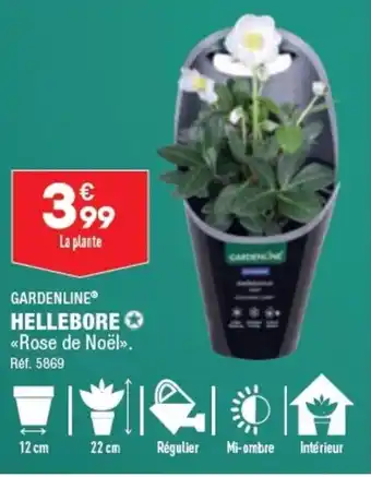 ALDI GARDENLINE HELLEBORE <<Rose de Noël»>. Réf. 5869 offre