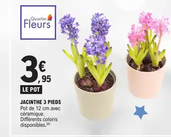 E.Leclerc JACINTHE 3 PIEDS offre