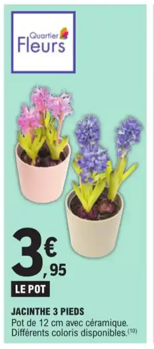 E.Leclerc JACINTHE 3 PIEDS offre