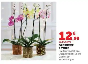 Hyper U ORCHIDEE 2 TIGES offre
