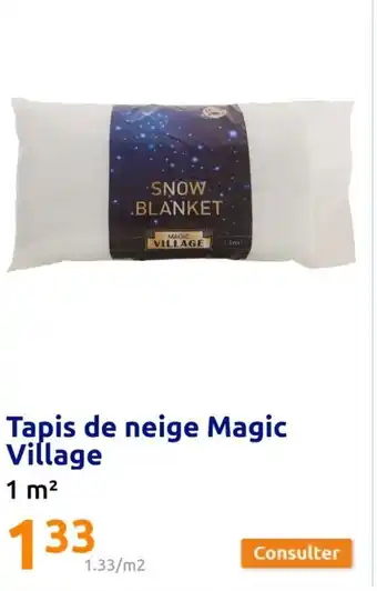 Action Tapis de neige Magic Village offre