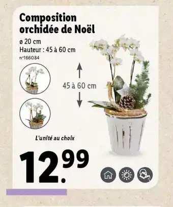 Lidl Composition orchidée de Noël offre