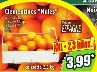 Norma Clémentines "Nules" offre