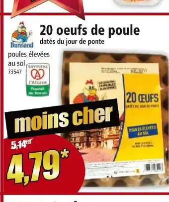 Norma 20 oeufs de poule offre