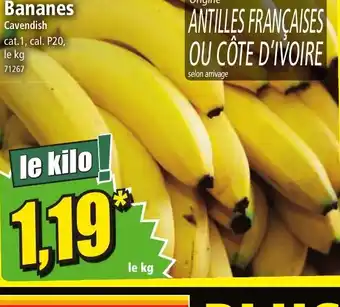 Norma Bananes offre