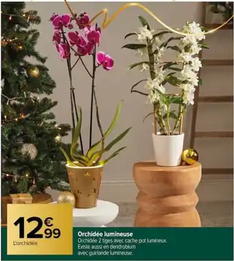 Carrefour Orchidée lumineuse offre