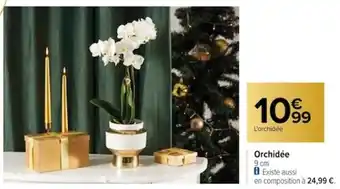 Carrefour Orchidée offre