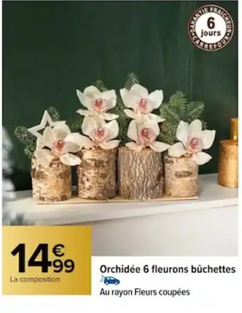 Carrefour Orchidée 6 fleurons bûchettes offre