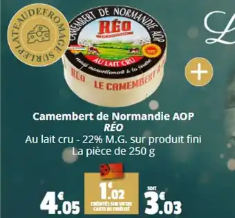 Coccinelle Supermarché Camembert de Normandie AOP RÉO offre
