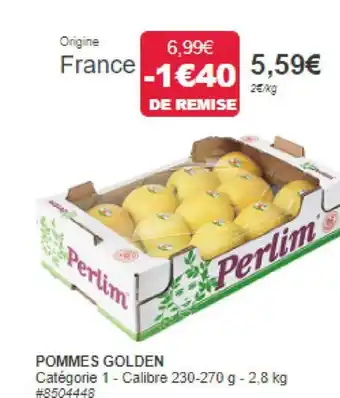 POMMES GOLDEN