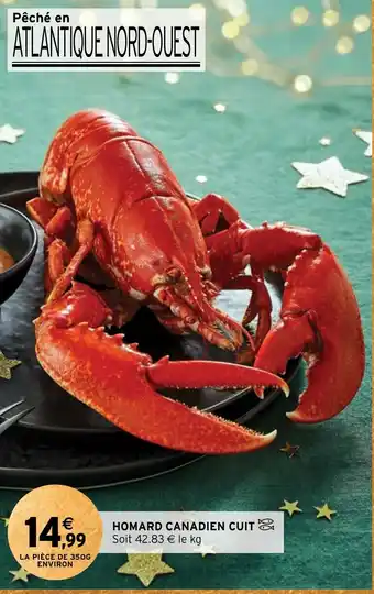Intermarché HOMARD CANADIEN CUIT offre