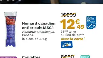 Picard Homard canadien entier cuit MSC offre