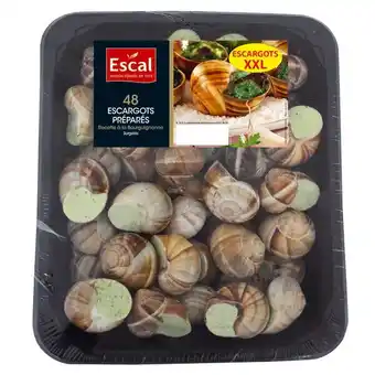 Carrefour Escal escargots xxl préparés surgelés offre