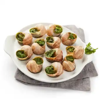 Match Escargots de bourgogne offre