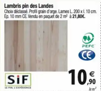 Tridôme Lambris pin des Landes offre