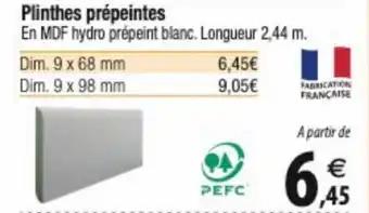 Plinthes prépeintes