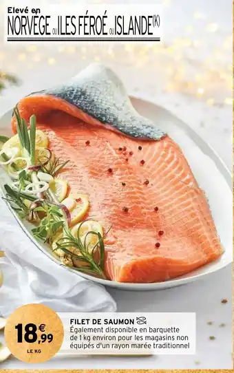 FILET DE SAUMON