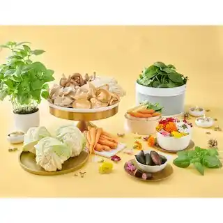 Auchan Herbes en pot bio offre