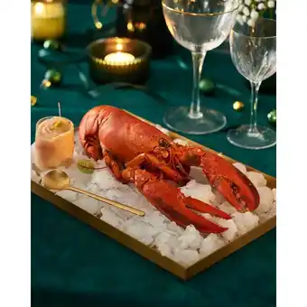 Homard européen cuit
