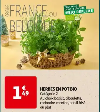 Auchan Supermarché Herbes en pot bio offre