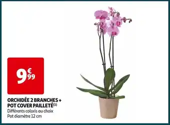Orchidée 2 branches + pot cover pailleté